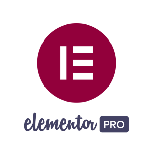 Giveaway Elementor Pro