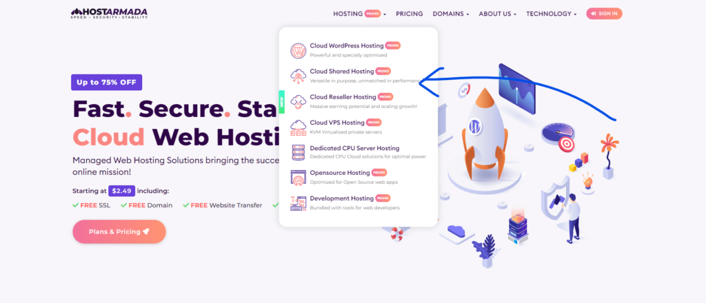 Select Web Hosting Package