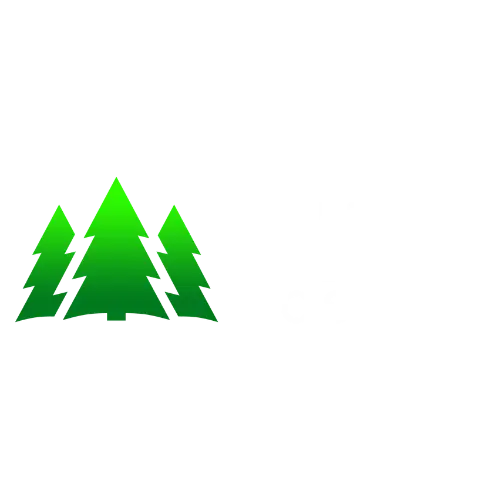 Pine Hosting Promo Code