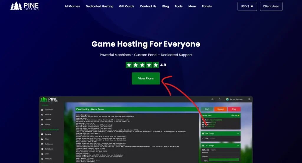 Pine Hosting Promo Code View Plan